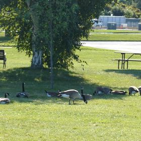 手をパチンの画像