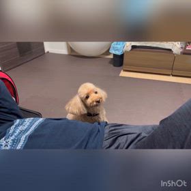 甘え上手なメイちゃん♡ 〜その②〜の画像