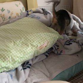 幸せと感じる日常の画像