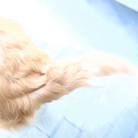 嬉しい❗️楽しい❗️元気‼️の画像