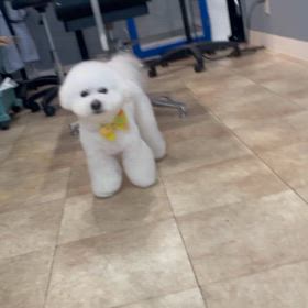 もこたんくん♡の画像