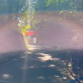 昨日は遠足付き練習会でしたのサムネイル画像