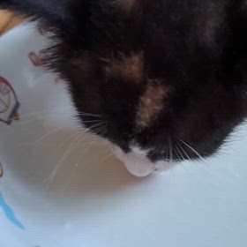 食べた♪飲んだ♪　2024/09/28の画像