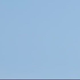 白いのと黒いビュンビュンの画像