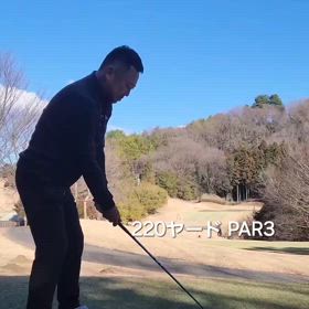 ミネルヴァFWの画像