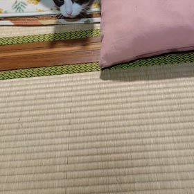 影の軍団（笑）の画像