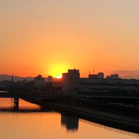 (動)初日の出の画像