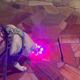 以心伝心の画像