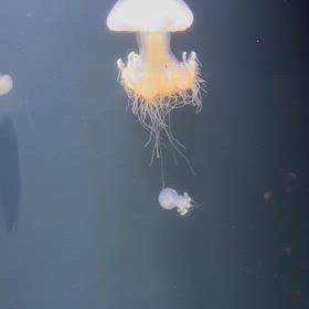   通院日よりの画像