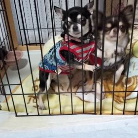 ご飯の準備の画像