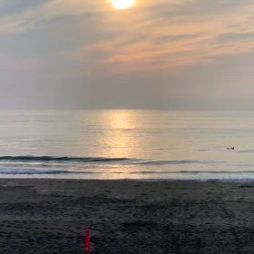 8月29日千葉北、東浪見の朝の波の画像