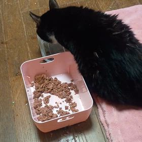 ありがとうございました。の画像