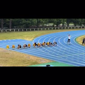 ふくらはぎ爆発の画像