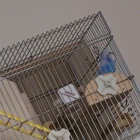 あははは　いつまで。。。の画像