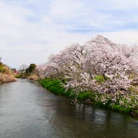 リラックスハーモニー　♡の画像