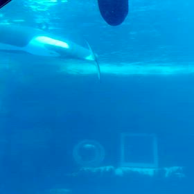 アースくんの思い出①の画像