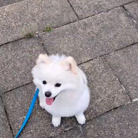 朝練の画像