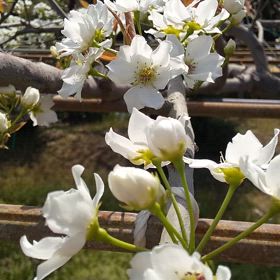 お久しぶりですねの画像