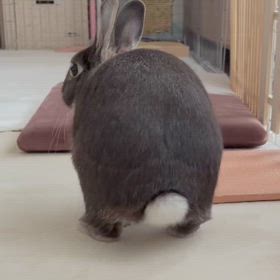 おちっぽ ピロピロ〜ン♡の画像