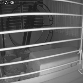 アロマ禁止宣言の画像