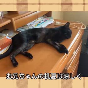 ゆずのお気に入り場所の画像