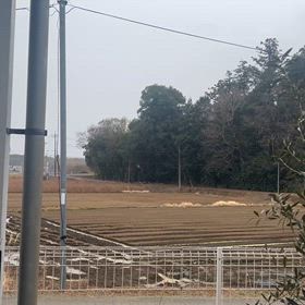 全然降らない…の画像