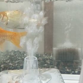 何とか、終えた～の画像