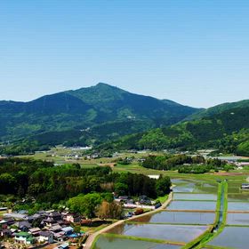 あの人のことが忘れられない…の画像