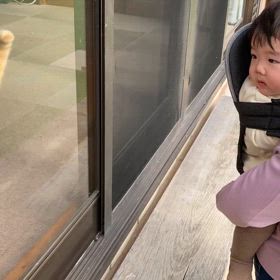 2024/11/16今週のハナの画像