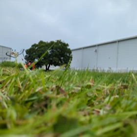 楽ちん草刈りの画像