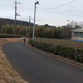 駅伝（坂頂点）⑧の画像