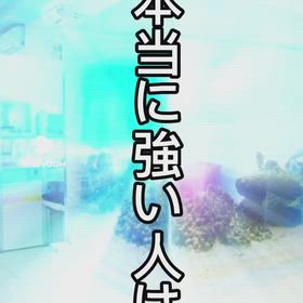 本当に強い人の画像