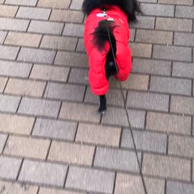 2025年12月3日　　るな  5の画像