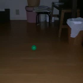 マルちゃんのボール投げの画像