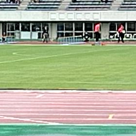 藤田さん　組１着（女子80mハードル）の画像