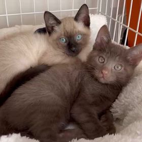 今日も出船の画像