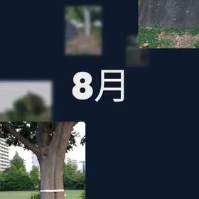 真夏の思い出の画像