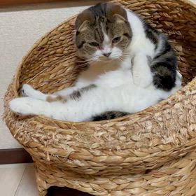 身体を綺麗にしましょうねの画像