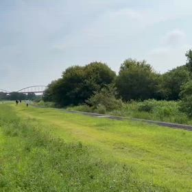 7/6 ハイレベル練習（長距離）③の画像