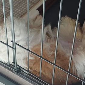 ３０℃だったそうで(^o^;)の画像