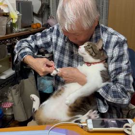 大ちゃん頑張りましたの画像