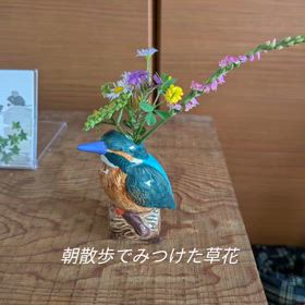 あさんぽで見つけた草花。の画像