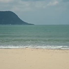 オンショア波乗り仕様の画像