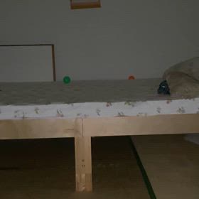 マルちゃんのイタズラ⁉️の画像