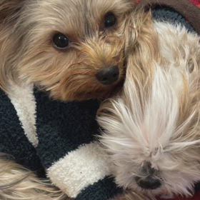 クリスマスイブ　⭐︎追加動画ありですの画像