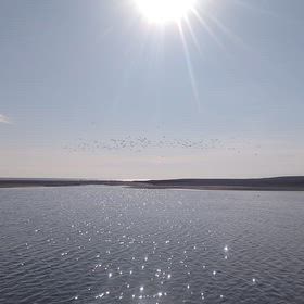 寒ボラ釣りにの画像