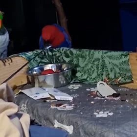 これは鳥虐待ですか？の画像