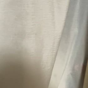 かくれんぼの画像