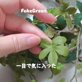 2024/12/01の画像