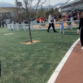 阪神競馬場の画像